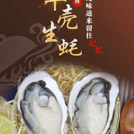 饶平县汫洲生蚝牡蛎深海蚝烧烤蚝1箱100斤全国各地合作批发阳江蚝