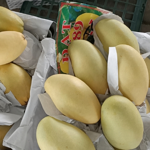 越南高乐蜜