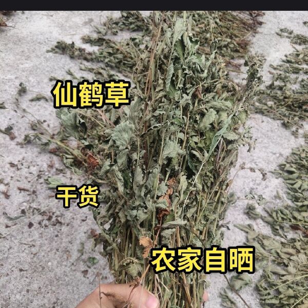 中药材仙鹤草 龙芽草 脱力草 狼牙草 草龙牙包邮晒干原生