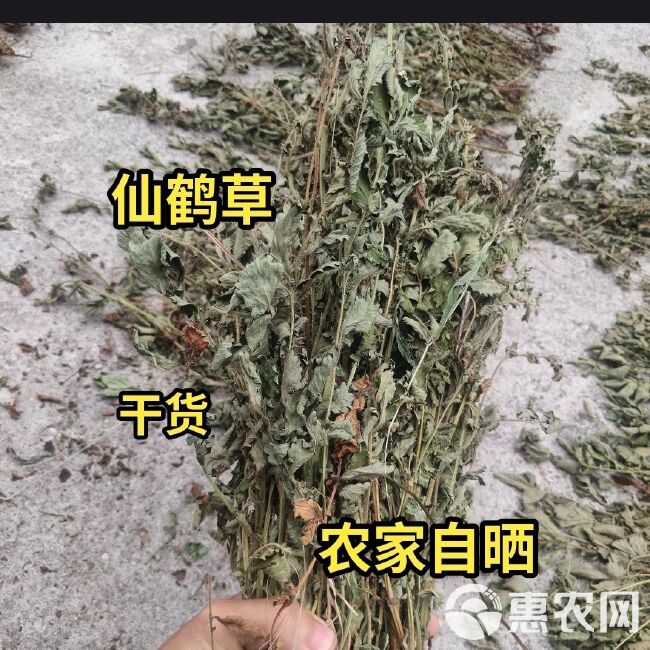 中药材仙鹤草 龙芽草 脱力草 狼牙草 草龙牙包邮晒干原生