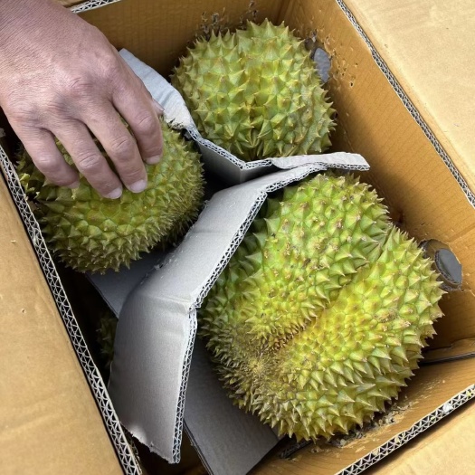 昆明泰国金枕榴莲