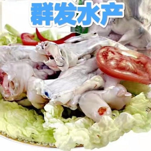 汕头冰鲜蛙肉 鲜活牛蛙 现杀现发 欢迎各大餐饮 电商咨询下单