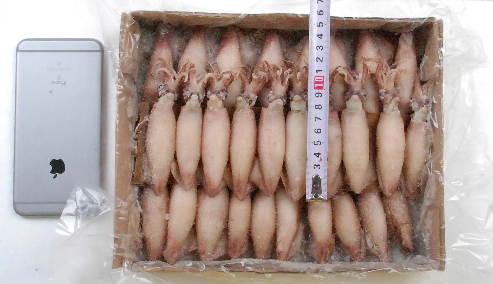 连云港全籽海兔大小规格都有货，供应饭店批发商，捞汁小海鲜，