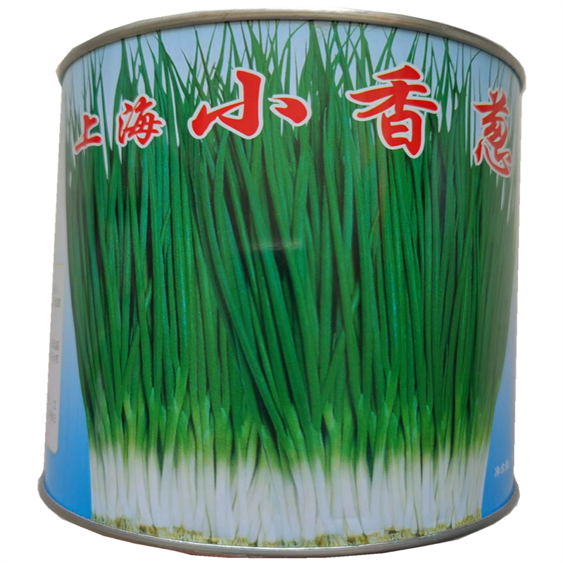 小香葱种子分蘖型四季小葱种子高产小葱籽春秋大田小分葱种子香味