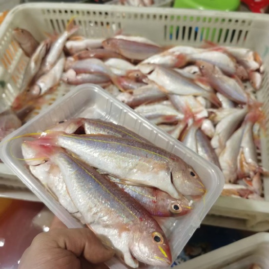 东山县帮杀