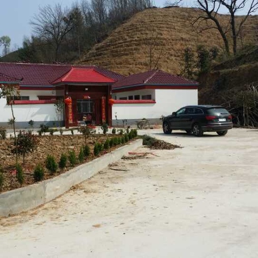 信阳信阳市信阳毛尖主产区，500平米小院，鱼塘，成熟茶山！