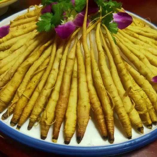 石家庄黄参（高原黄萝卜）