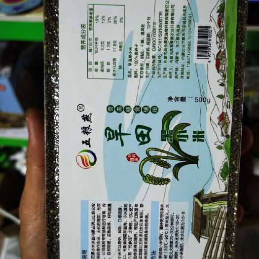 凉城县内蒙古凉城县旱田老品种黑小米