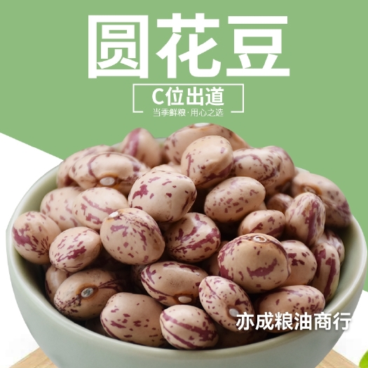 临沂新疆圆花豆批发 新花芸豆 大颗粒雀蛋豆25kg