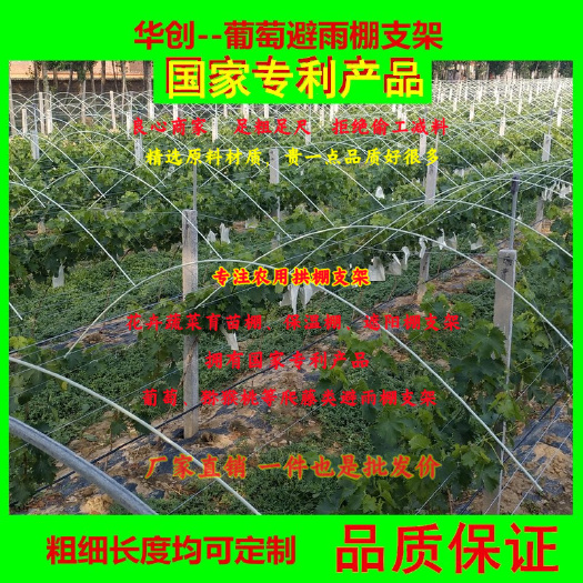 兴安县20条玻璃纤维棒农用小拱棚支架蔬菜花卉育苗保温棚支架大棚骨架