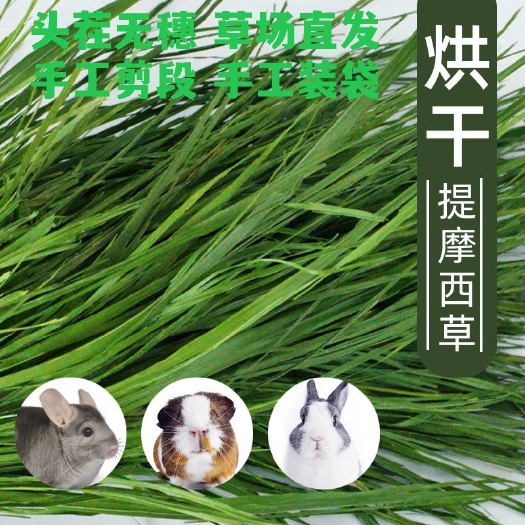 岷县特级烘干提摩西草提草干牧草粮食北提荷兰猪草料龙猫干草