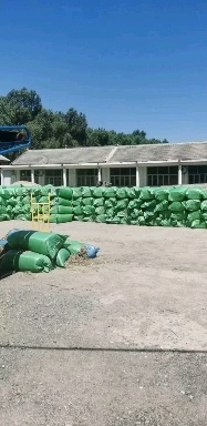 天津玉米秸秆青储  黄储  压块