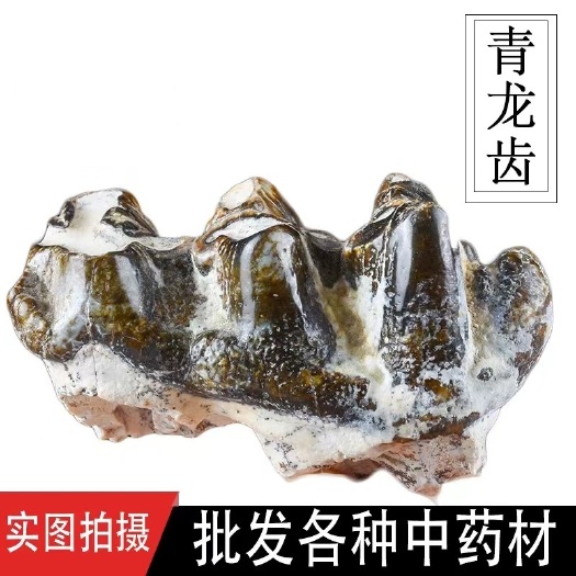 亳州【热销】青龙齿基地货源干净无杂货支持药检欢迎订购一件