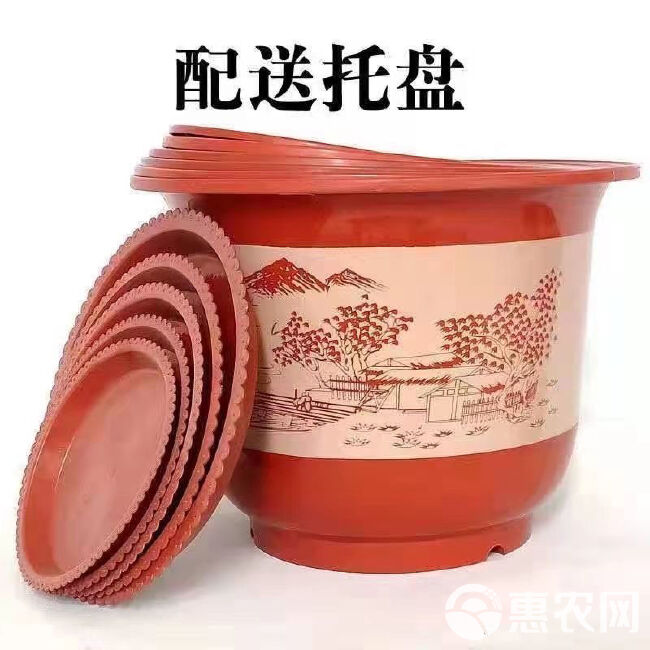 塑料花盆 花卉盆栽家用花盆