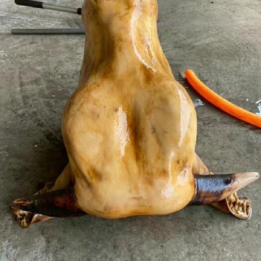 清徐县牛头牛头宴专用,新鲜牛头,屠宰场新鲜直达半成品去皮带皮批发一