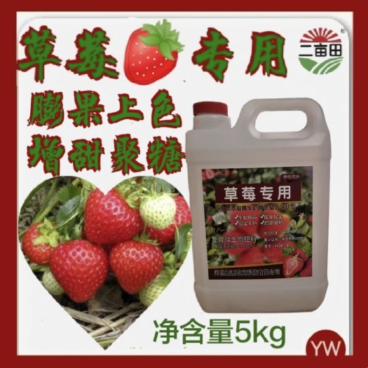 草莓专用肥，防裂防落，保花保果，预防畸形，膨果上色，增甜聚糖