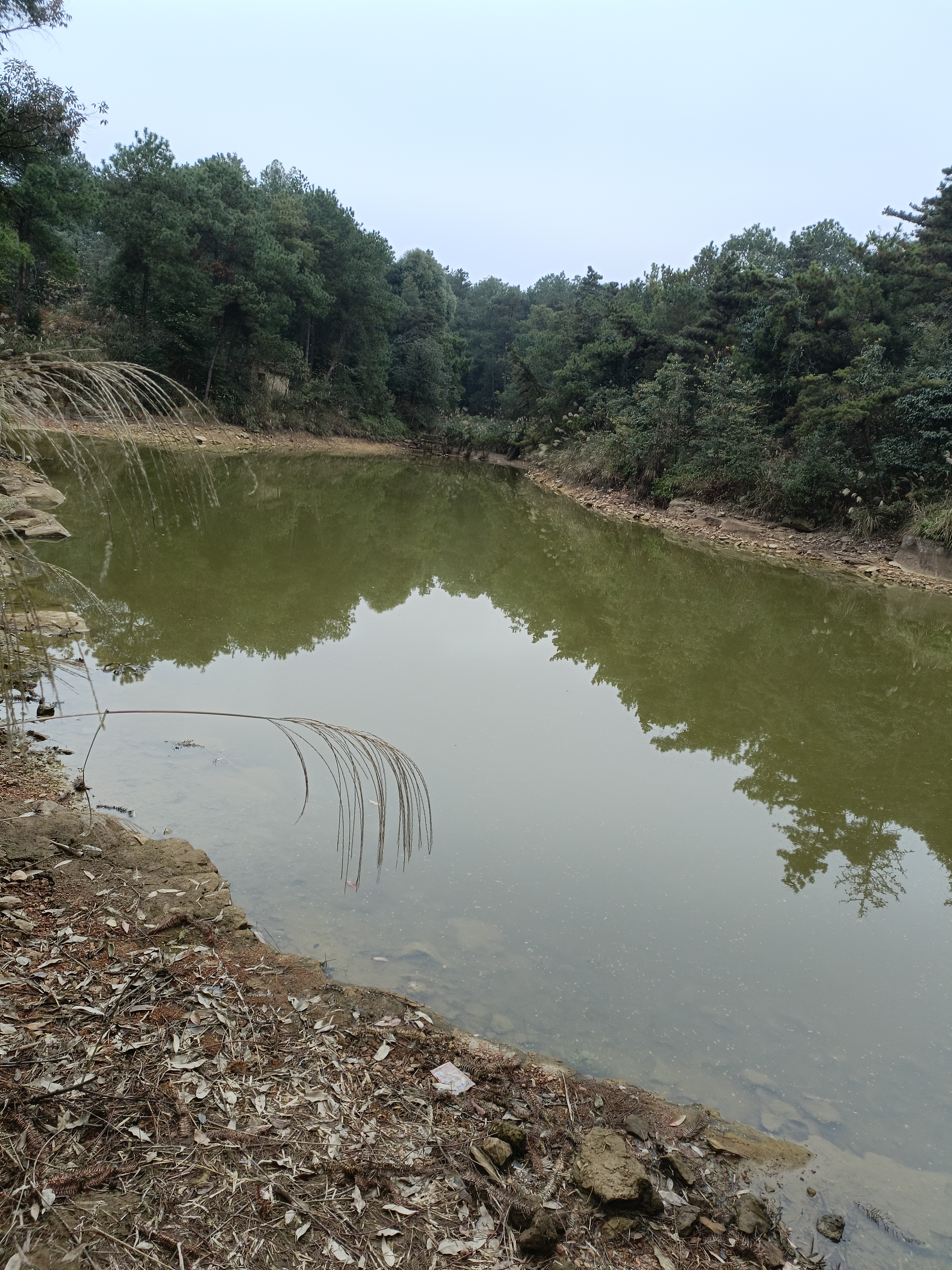 重庆北碚区西山坪101亩蔬菜，瓜果用地