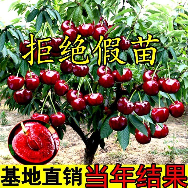 Ϫشӣ磬磬磬ֱƷֱ֤Ʒʪ
