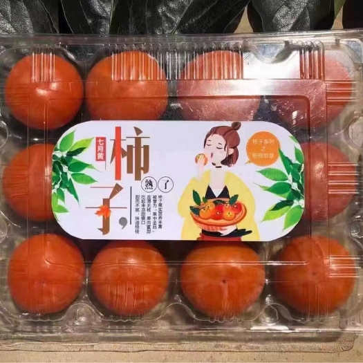 大荔县甜柿子