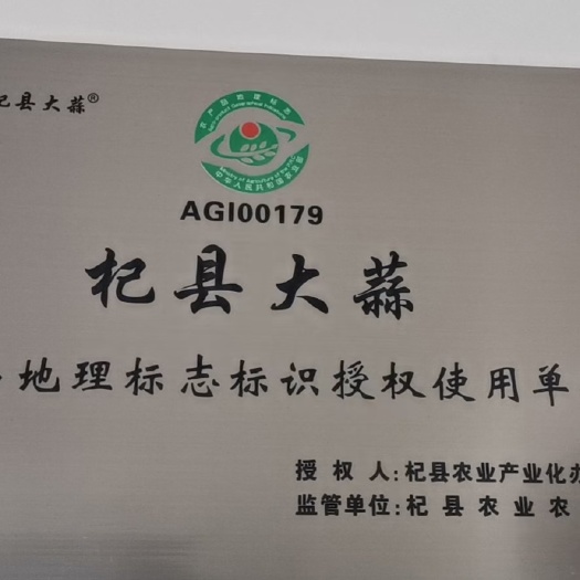 杞县紫皮蒜 2024年新鲜干大蒜，糖醋蒜，绿色认证大蒜，紫皮大蒜