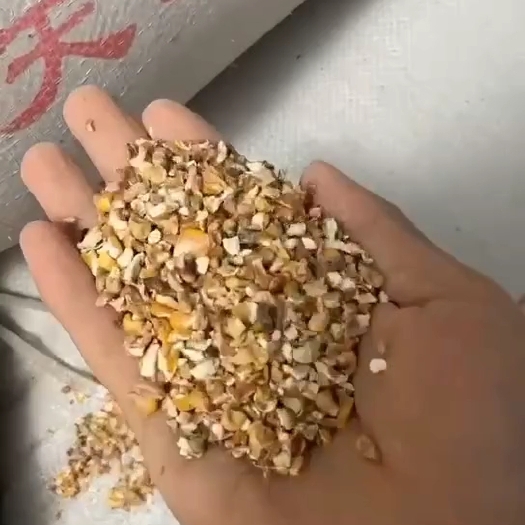 郓城县碎玉米，饲料原料养殖饲料专用养殖鸡鸭鹅猪牛羊