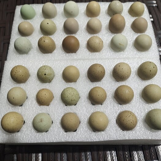 苍南县网红宠物鸡蛋，德系蛋