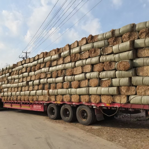 灵璧县精品揉丝过筛除尘麦草  小麦秸秆  牛羊草料