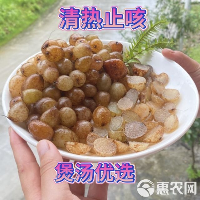 贵州新鲜石黄皮 精选肾蕨子 果化狗儿5斤