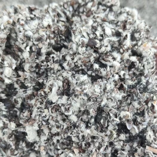 夏津县中壳中绒棉籽壳
