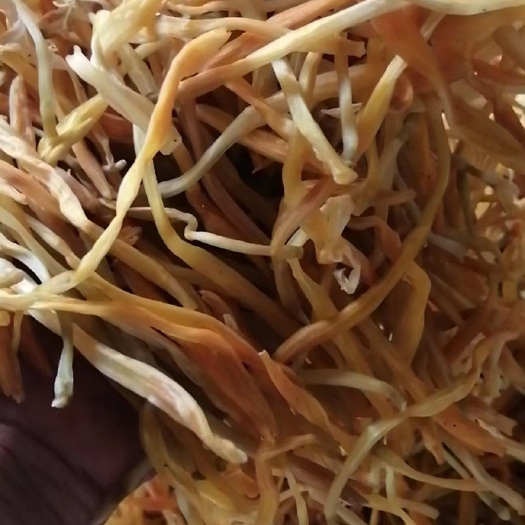 方城县黄花菜