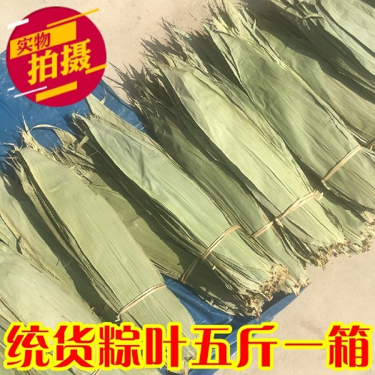 粽叶商用干粽叶麻竹叶烘干大粽叶新鲜深山采摘箬叶廖叶芦苇叶包邮
