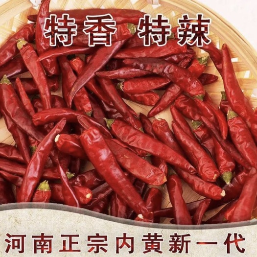 内黄县内黄新一代辣椒