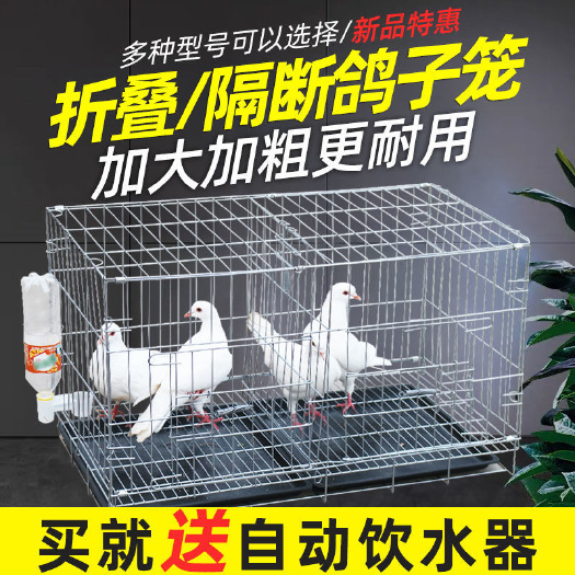 丽水鸽子笼大号家用折叠带隔断鸽笼配对养殖繁殖笼子鸽子用具鸽棚鸽舍