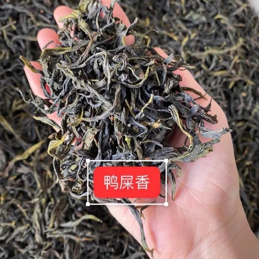 饶平县凤凰单枞鸭屎香500g潮州单枞茶茶叶