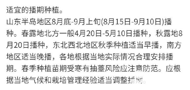 冰淇淋萝种子甜脆超甜可生吃水果萝卜种子紫皮红心萝卜籽蔬菜种子