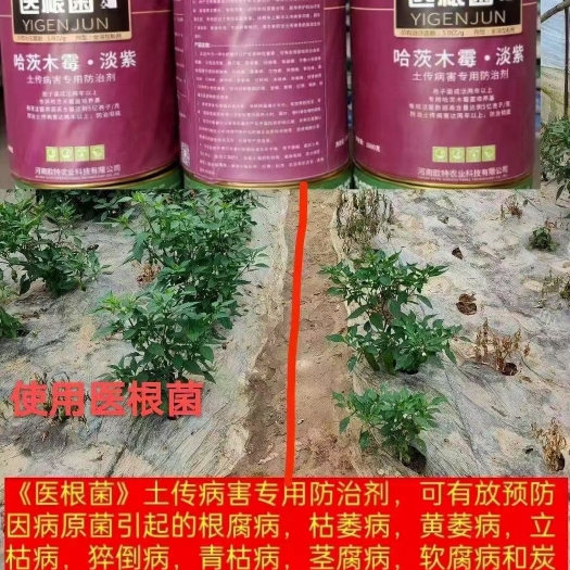 长葛市微生物菌剂，预防土传病害。
