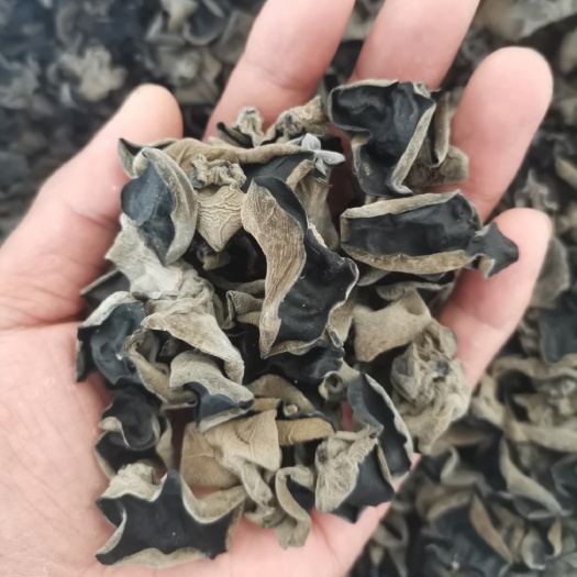 东宁市黑龙江头茬黑木耳朵形好厚度好口感佳精品黑木耳