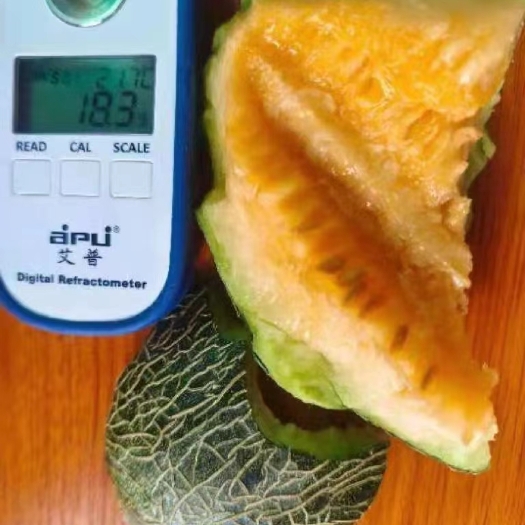 长沙有机蜜瓜