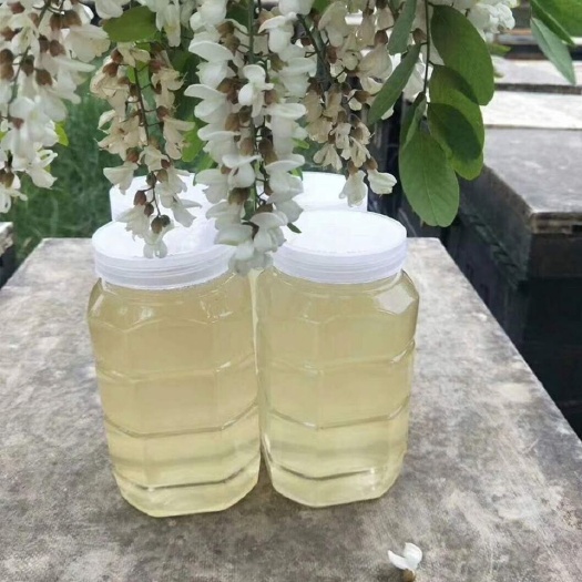 荆门纯熟槐花蜜便宜了