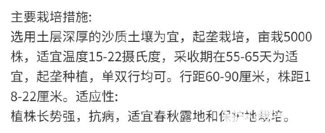 冰淇淋萝种子甜脆超甜可生吃水果萝卜种子紫皮红心萝卜籽蔬菜种子