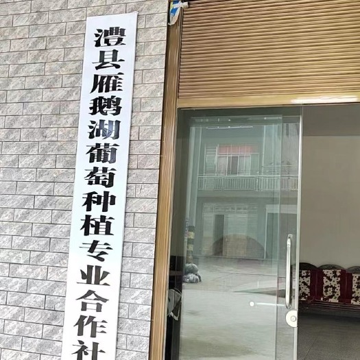澧县阳光玫瑰冷库租赁