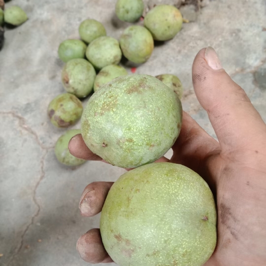 渭南清皮核桃
