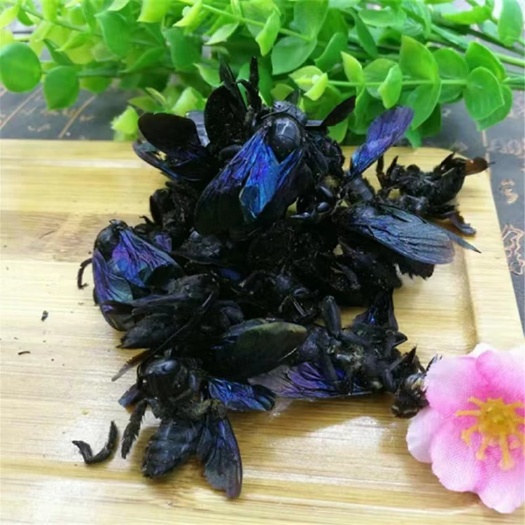 竹蜂、笛师，留师，竹蜜蜂，竹筛蜂、支持药检、新货、包邮