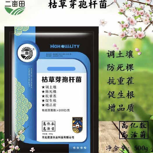 邯郸枯草芽孢杆菌