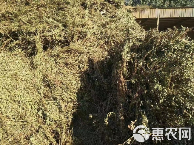 优质花生秧 非常棒花生秧 还有花生秧草粉稻秆 花生壳麦秆