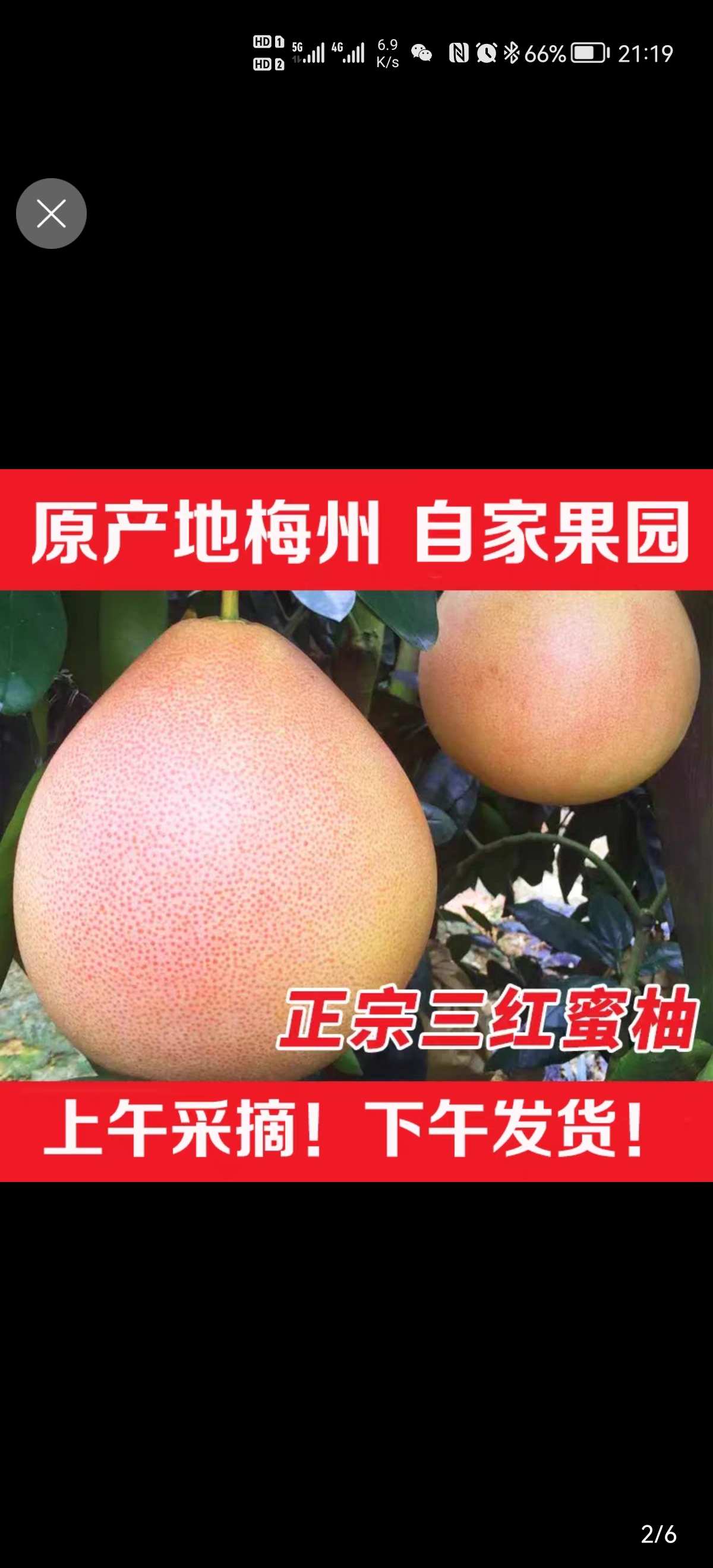 农家三红柚无污染无农药日照时间长