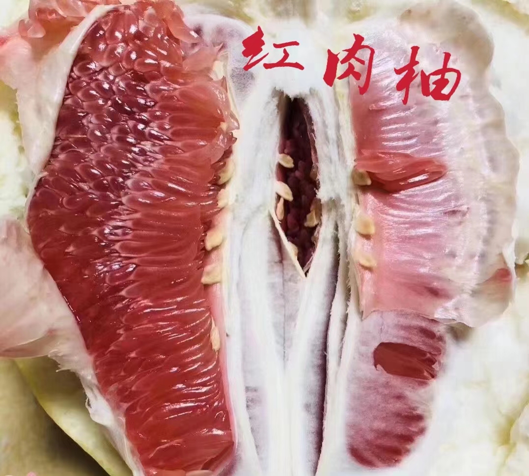 农家三红柚无污染无农药日照时间长
