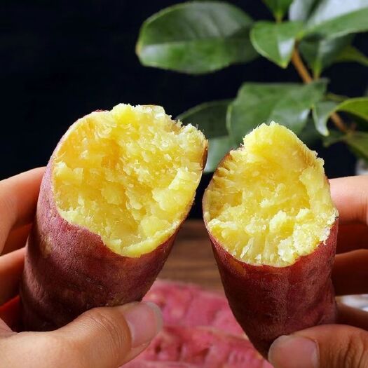 板栗薯陕西沙地黄心红薯板栗味红薯一件代发包邮包售后