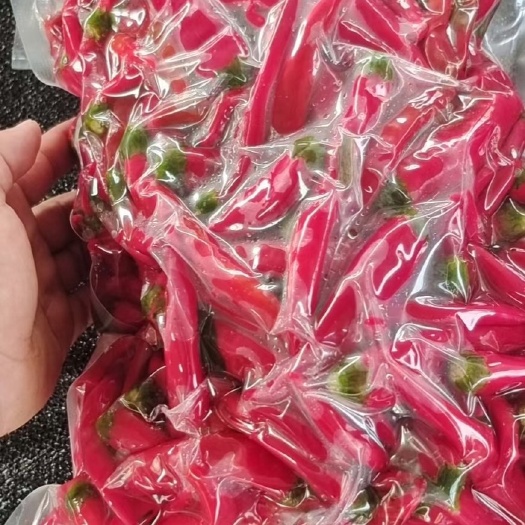 鸡泽县京红19需要的联系一手货
