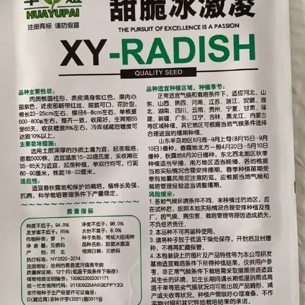 冰淇淋萝种子甜脆超甜可生吃水果萝卜种子紫皮红心萝卜籽蔬菜种子